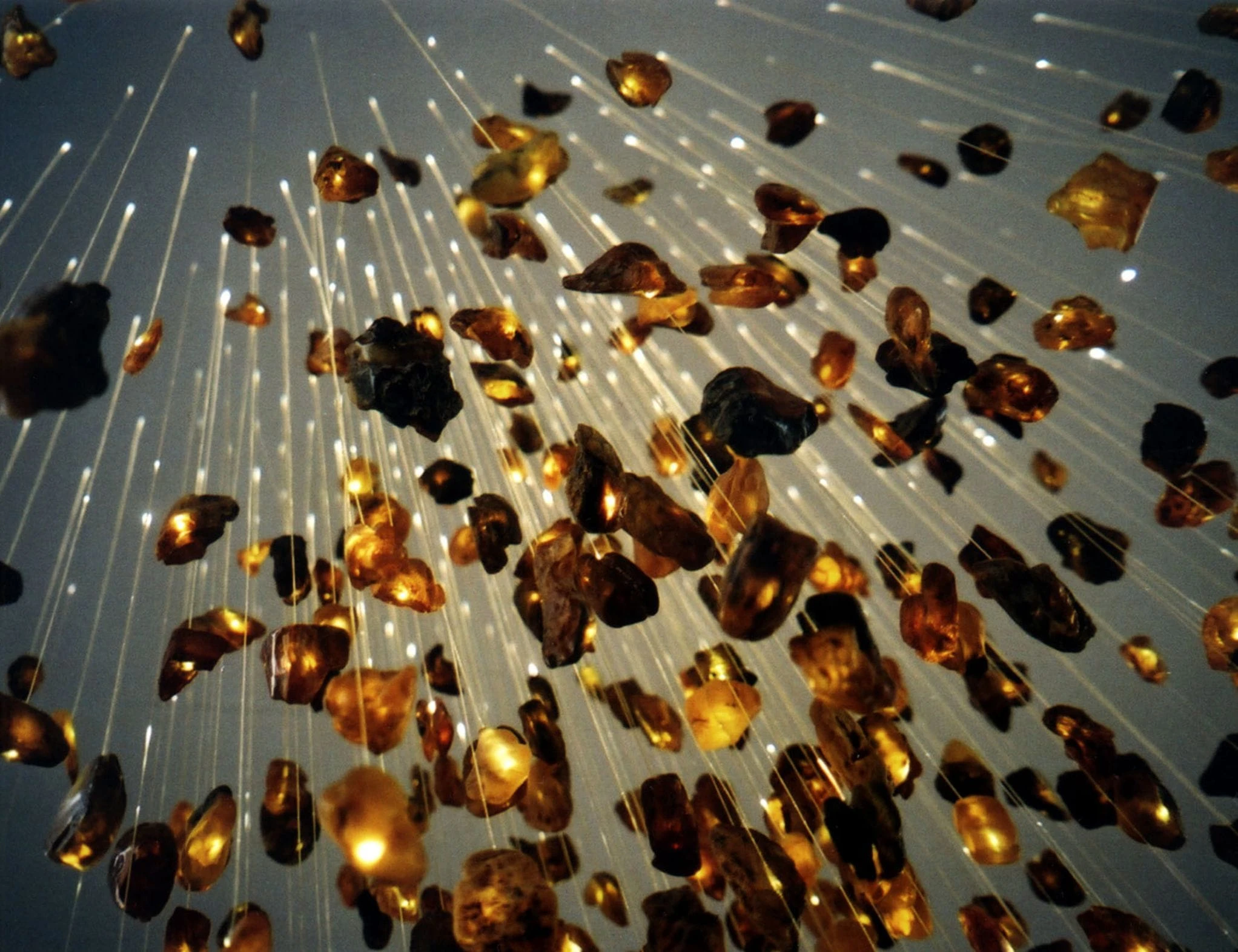 seth-stein-baltic-restaurant_03