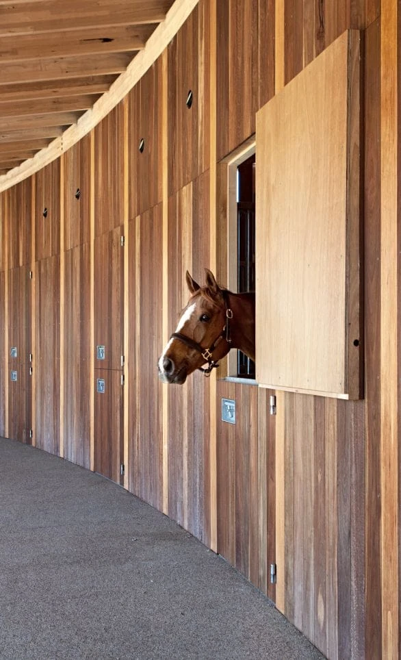seth-stein-equestrian-centre-australia-08