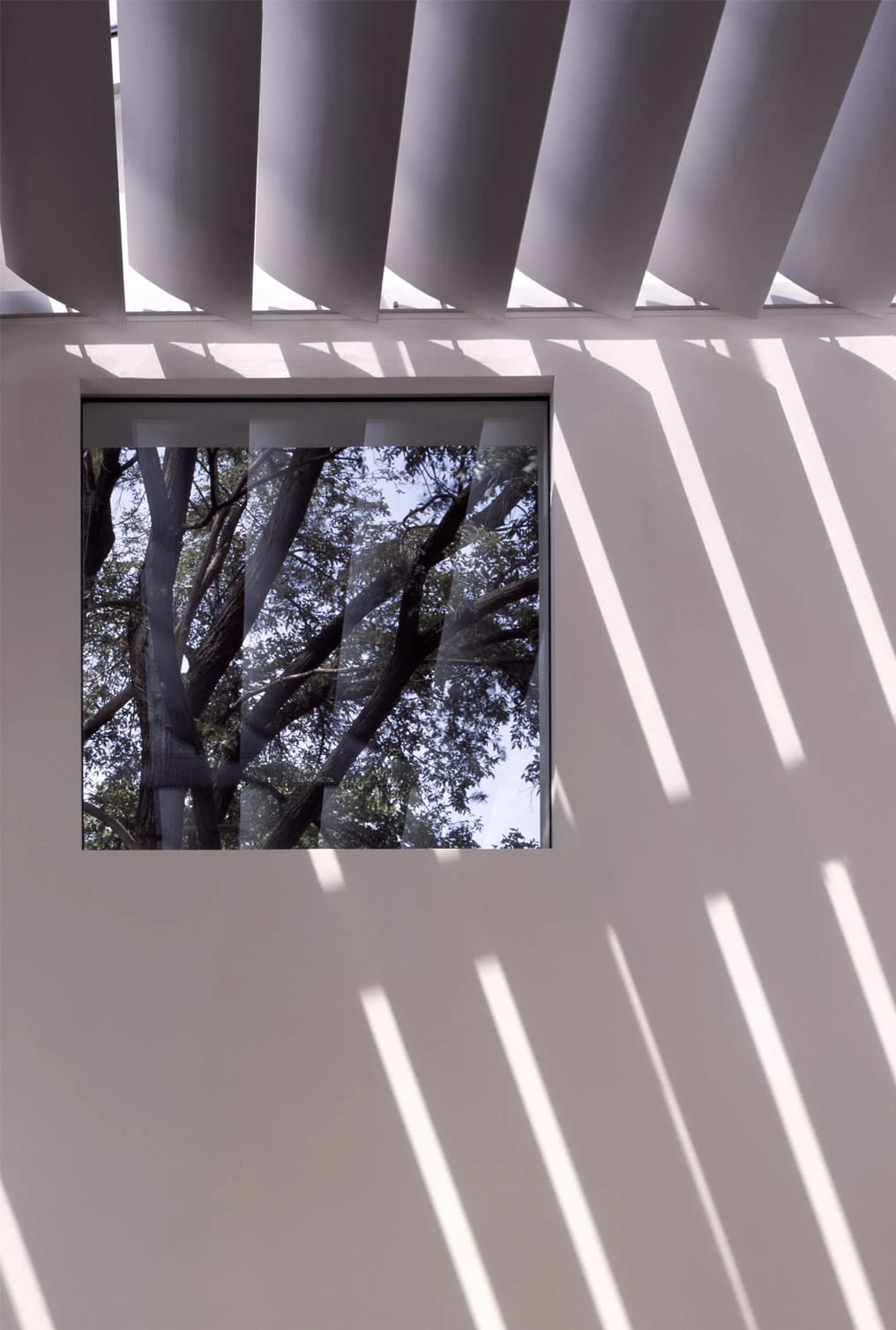 portrait-1016-x-1508-toronto-1